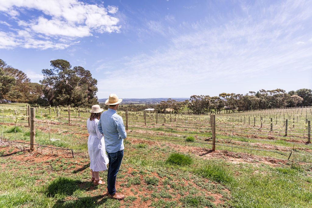 Visitors to Paisley Wines stand in the Sunset Block, only a few months after planting.