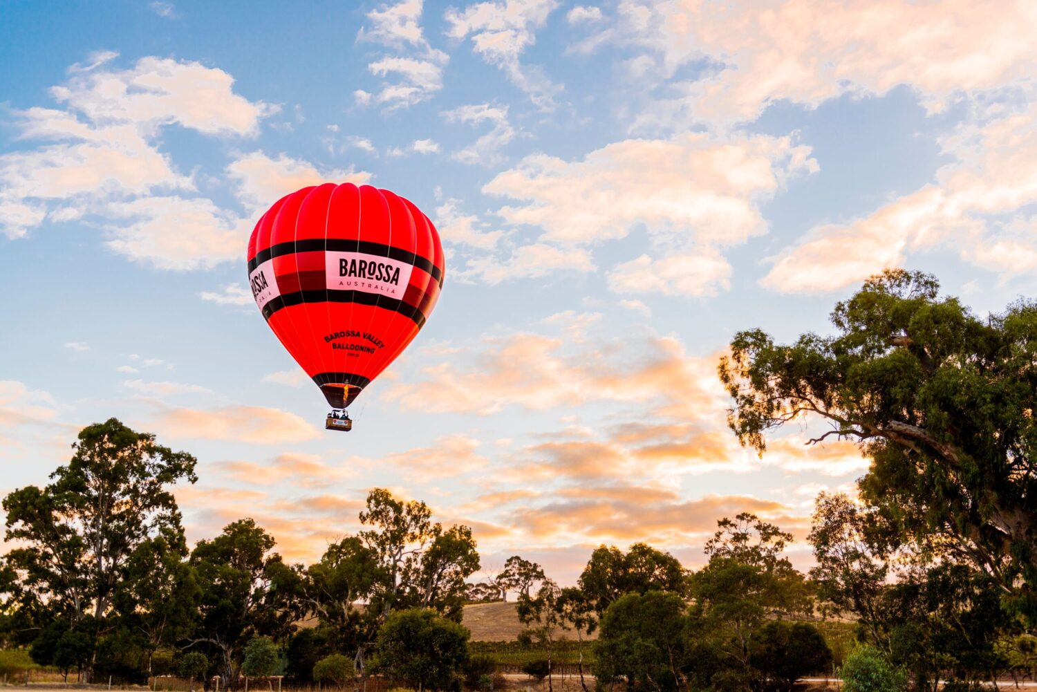 Photo by Barossa Grape & Wine Association